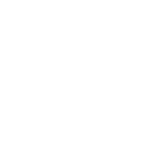 Website & Mobile Application